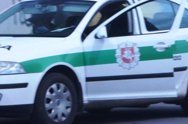 Sūnaus gimtadienį dailininkui apkartino vagys