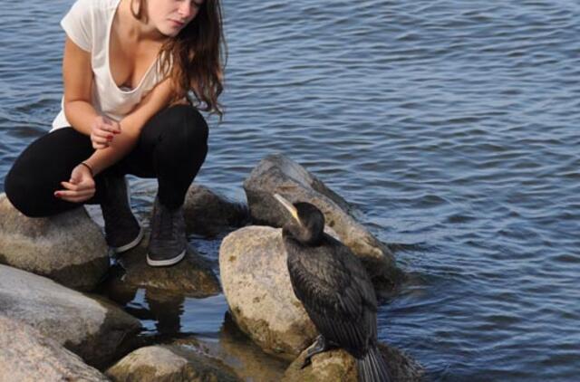 Kormoranus naikins asociacija "Gamtos namai“