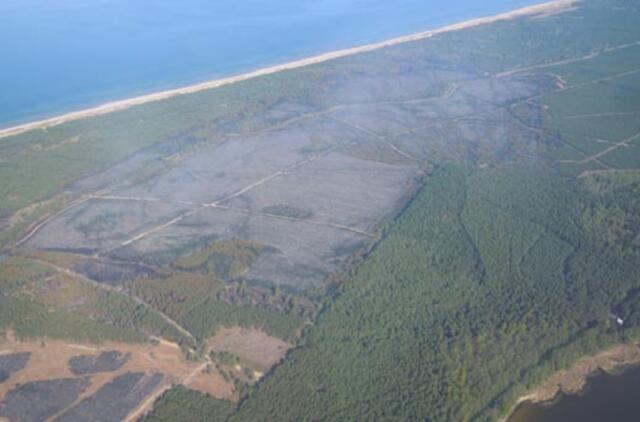 Smiltynėje bus ribojamas žmonių lankymasis