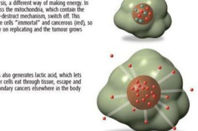 Vaistai nuo vėžio išrasti, bet farmacijos kompanijų jie nedomina