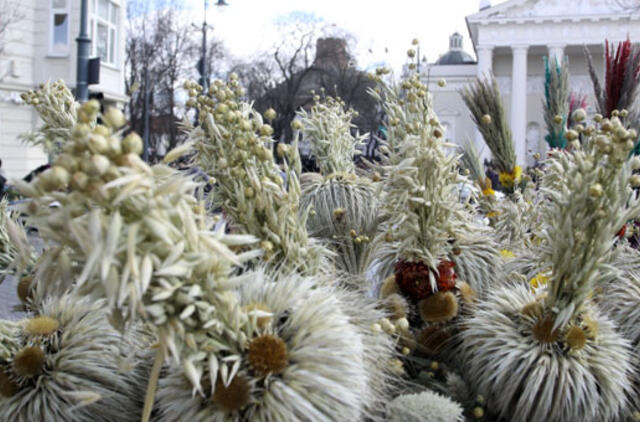 Verbų sekmadienis pradeda Didžiąją savaitę