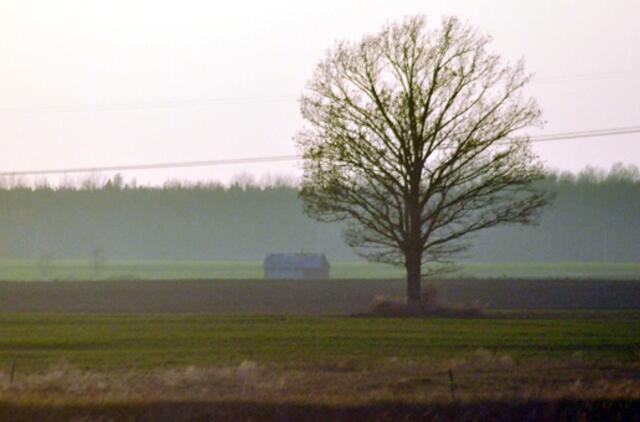 Žemės pardavimui prognozuoja šešėlį