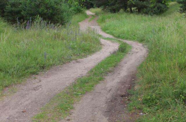 Vairuotoją apiplėšė miško kelyje