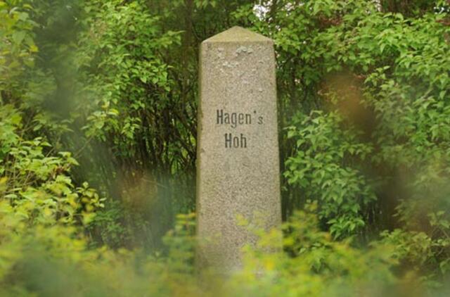 Kopų apželdinimo pionieriaus paminklas apžėlė