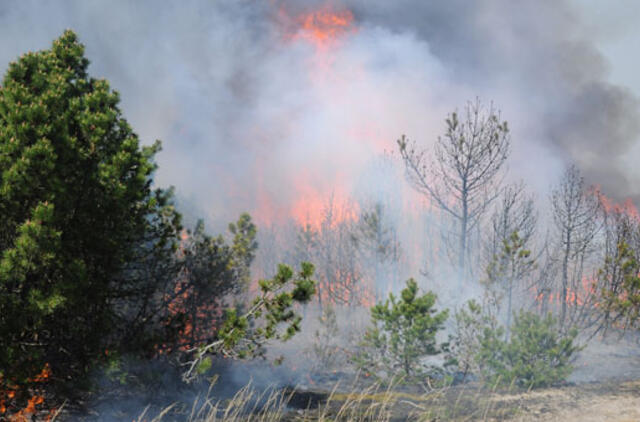 Parko teritorijoje gali būti uždrausta rūkyti