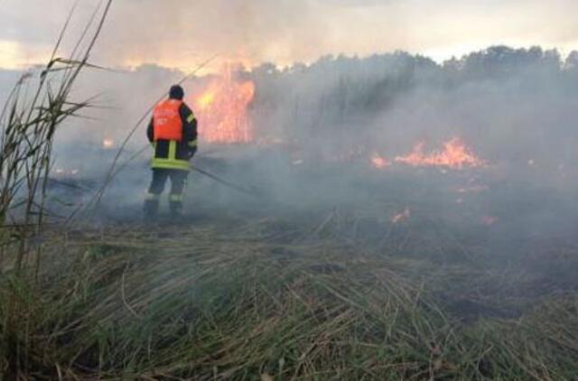 Rusnės saloje liepsnojo nendrynai