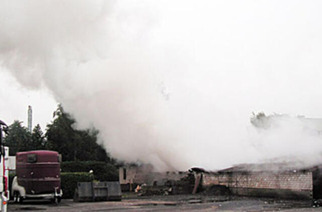 Ugnyje užduso tūkstantis fazanų