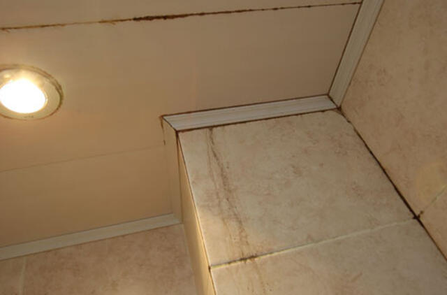 Tuščias butas - problemų garantas