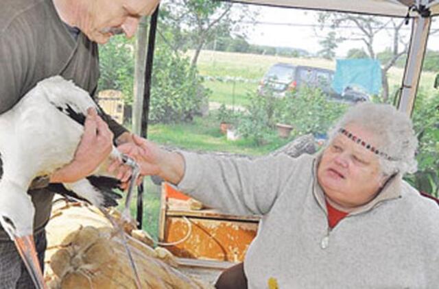 Gandras Garis į laisvę nenori