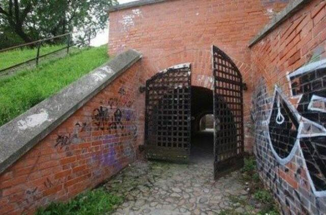 Jono Kalnelis: moterį pastūmė, ar krito pati?