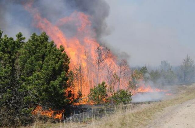 Ministerija už netinkamai įdiegtą gaisrų stebėjimo sistemą kol kas siūlo bausti dvi urėdijas