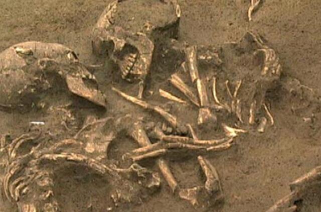 Archeologai atkasė 700 metų senumo rankomis susikibusių skeletų porą