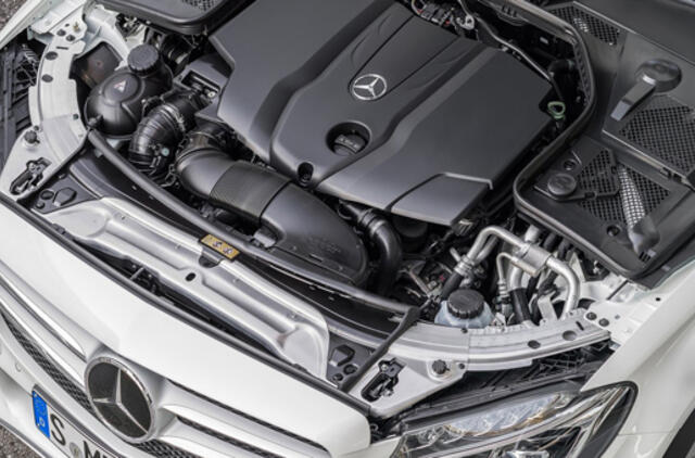 ES įspėja vokiečių "Daimler" dėl pažeidžiamų aplinkosaugos nuostatų