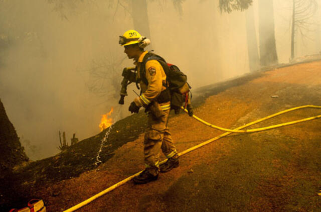 Kalifornijoje plinta miškų gaisrai