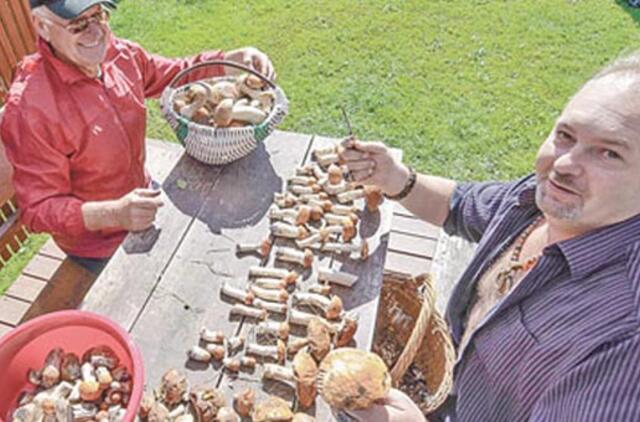 Nulijo grybų lietumi