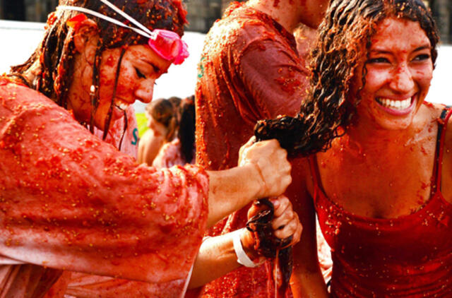 Olandai mėtydamiesi pomidorais protestavo prieš Rusijos draudimą importuoti žemės ūkio produktus