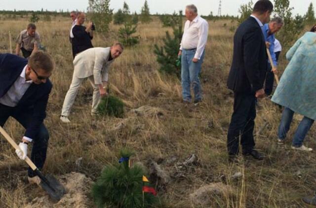 Smiltynėje įamžinti Baltijos uostai
