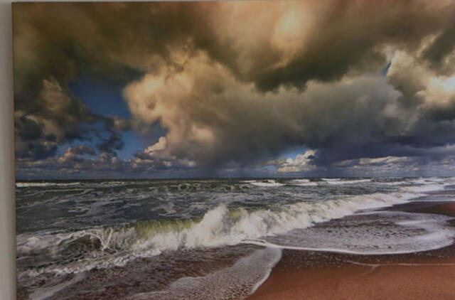 Atkapstytas Arvydo Stubros lobis