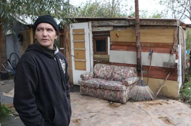 Brito benamio nuotykiai Klaipėdoje tęsiasi