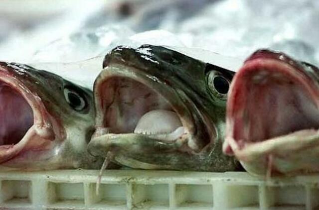 Dėl nuostolių žvejai kaltina ES