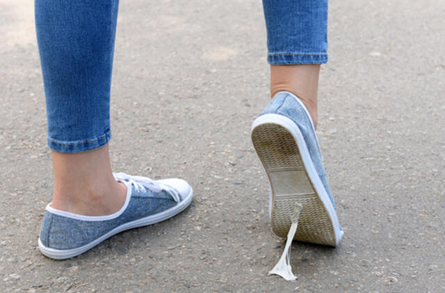 Karalienė Elžbieta savo piliai Škotijoje ieško... kramtomosios gumos gramdytojo