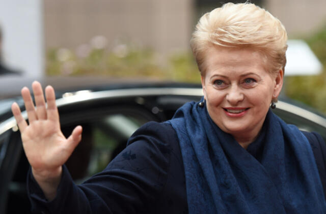 Prezidentė Dalia Grybauskaitė: saugi ir demokratinė Ukraina - visos Europos interesas