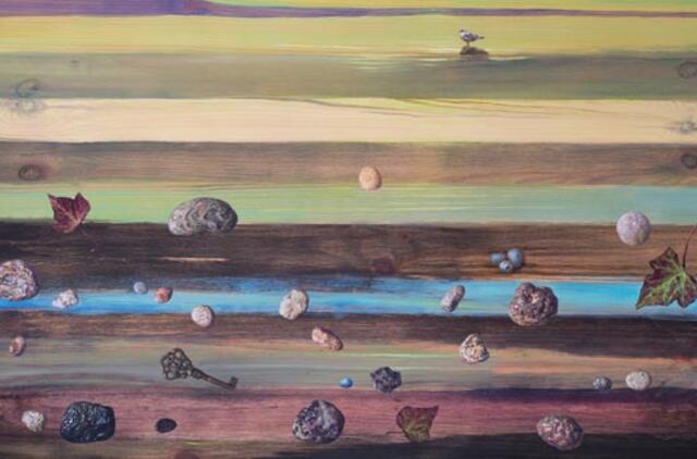 Baroti galerijoje - Dalios Čistovaitės paroda