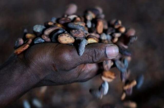 Kas darosi su šokolado kaina?