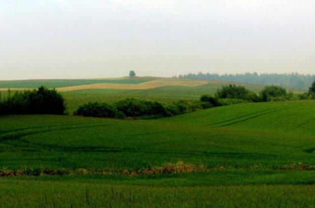 Klaipėdiečiams primena apie žemės mokesčio įsiskolinimą