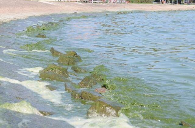 Kuršių mariose ir upėse kasdien slūgsta vanduo