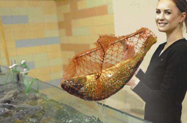 Žuvis lieka turtingųjų maistu