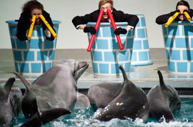 Delfinariume per Kalėdas pasirodys ir pingvinai