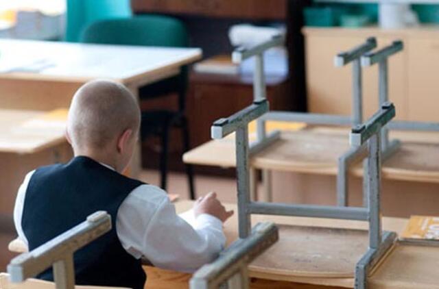 Diskutuos apie geros mokyklos koncepciją