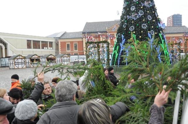 Teatro aikštėje išdalintos eglių šakos