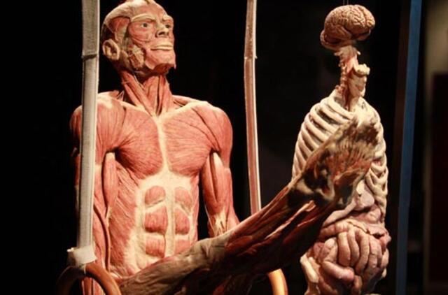 Kaune - žmogaus kūnų paroda "Body Worlds Vital“