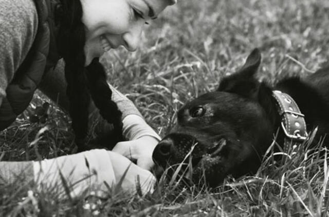 Laimingos istorijos:  bjaurieji ančiukai, tapę gulbėmis