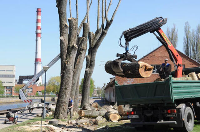 Apželdintojai ar naikintojai? (2)