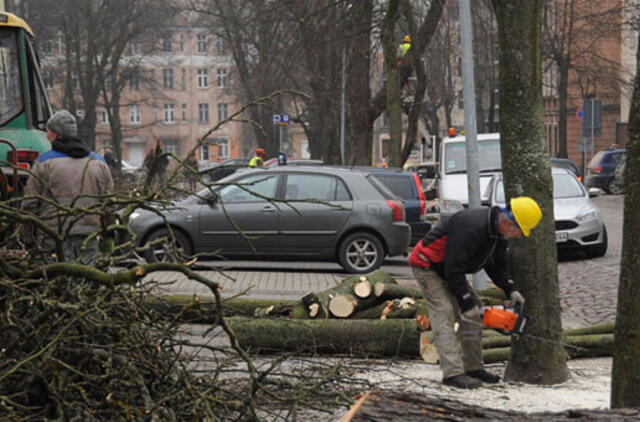Apželdintojai ar naikintojai?