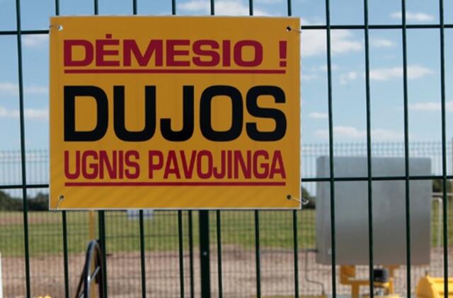 Klaipėdoje iškils dar vienas dujų terminalas