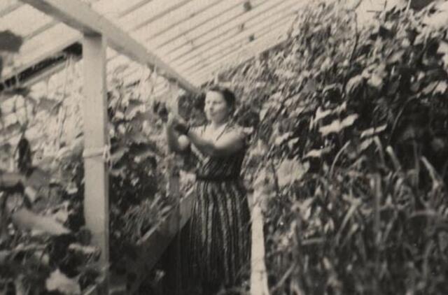 Klaipėdos akvarelės: namai ir žmonės (377)