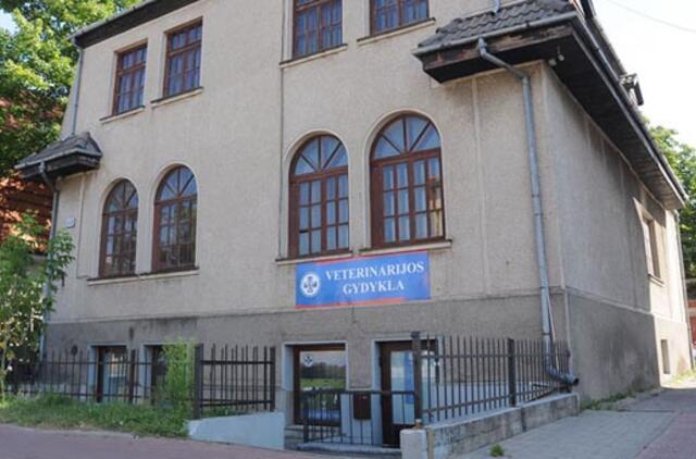 Kovoje su vėjo malūnais - pergalės nuojauta