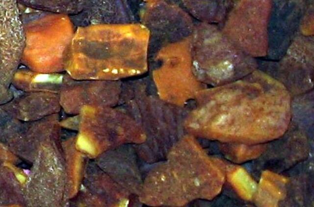 Rusė į Lietuvą vežė 10 kg kontrabandinio gintaro