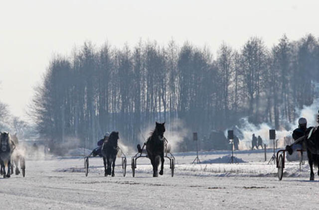 "Sartų 2015" lenktynių žiūrovams kailinių neprireiks