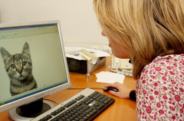 Už nelegalų informacijos siuntimąsi internetu - 289-579 eurų bauda