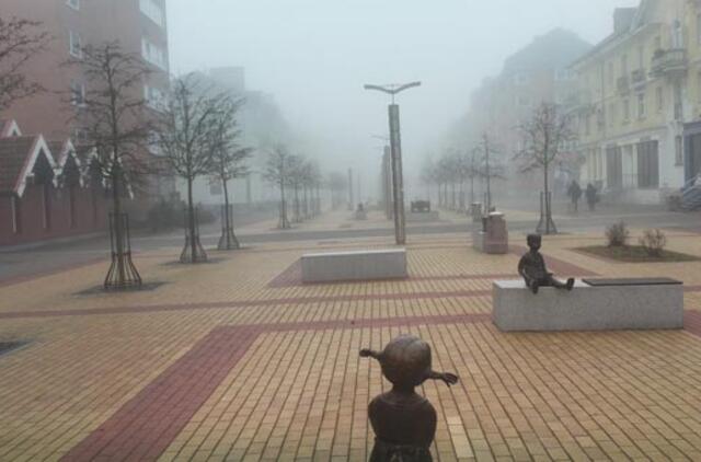 Klaipėdos mieste atliktas aplinkos monitoringas