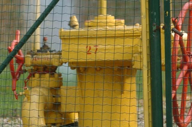 Lenkai planuoja naudotis SGD paskirstymo stotimi