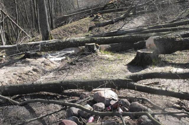 Papiktino piliakalnio tvarkymo darbai