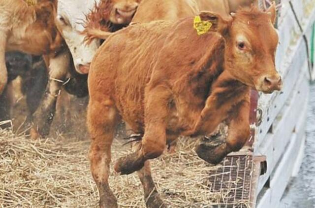 Lietuvos ūkininkų sąjungos pirmininkas Jonas Talmantas: Dar per gerai gyvename