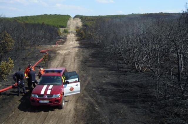 Gaisrų pavojus: tikrins Klaipėdos ir Neringos miškus