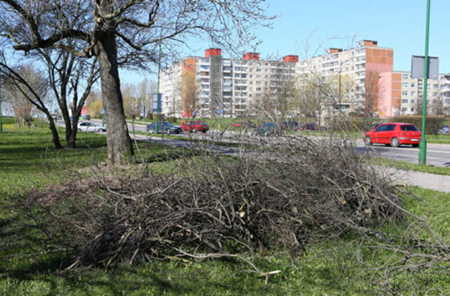 Aplinkosaugininkai tikrins, kaip gyventojai tvarko žaliąsias atliekas